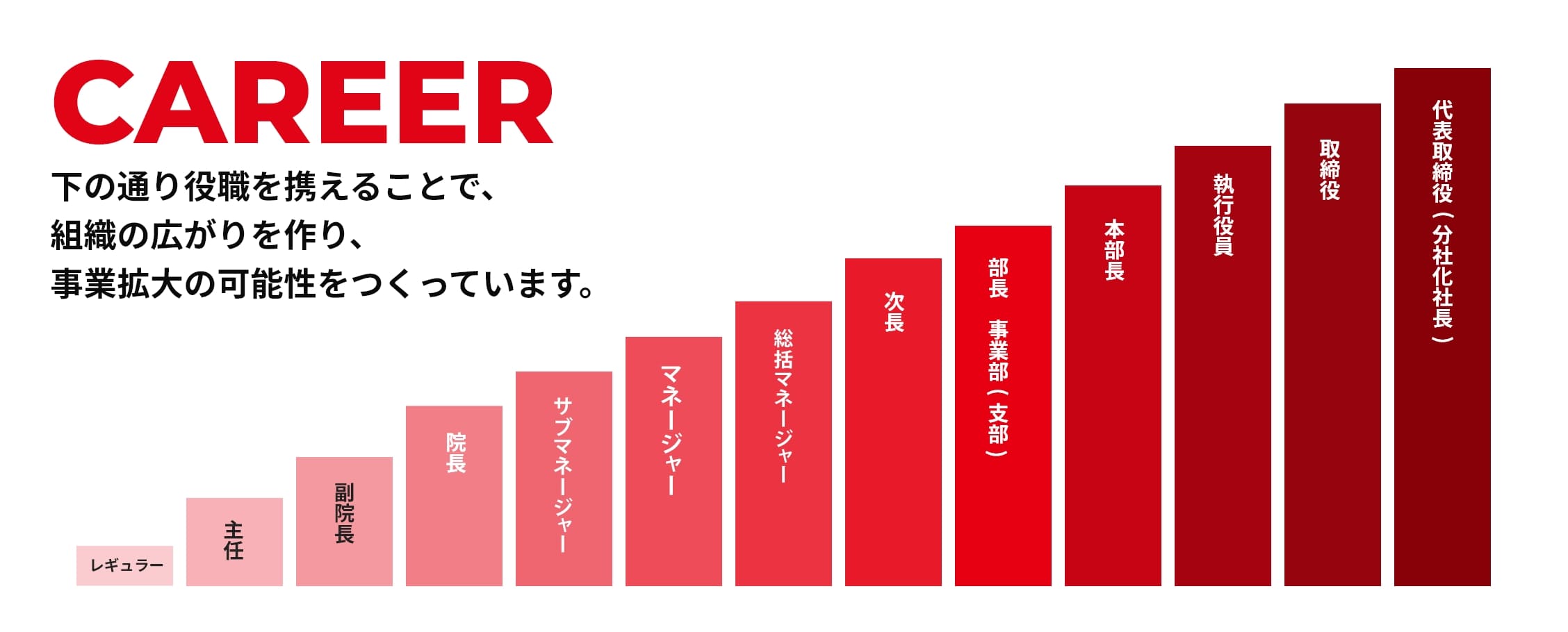 CAREER 下の通り役職を携えることで、組織の広がりを作り、事業拡大の可能性をつくっています。